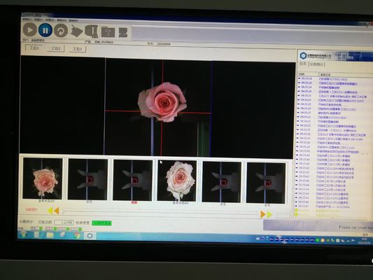 फूल का पता लगाने दृष्टि निरीक्षण उपकरण पूरी तरह से स्वचालित