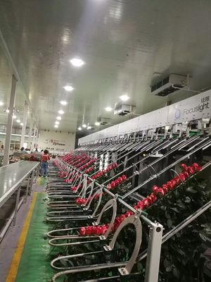 फूल छँटाई स्वचालित फोकससाइट निरीक्षण मशीन
